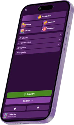 Functies van de Duckysino Casino-app